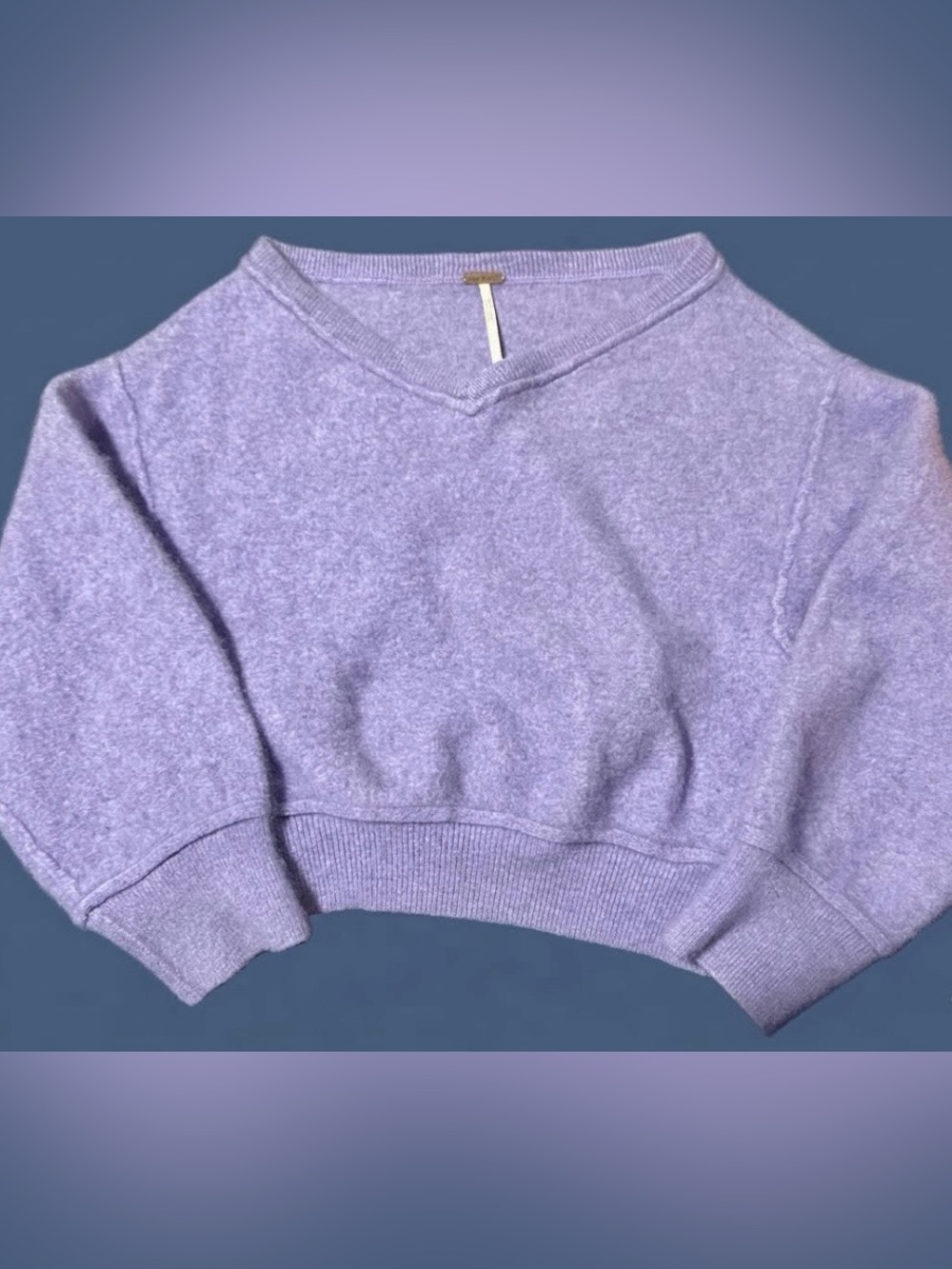 Free People Lavender V-Neck Cropped Sweater
